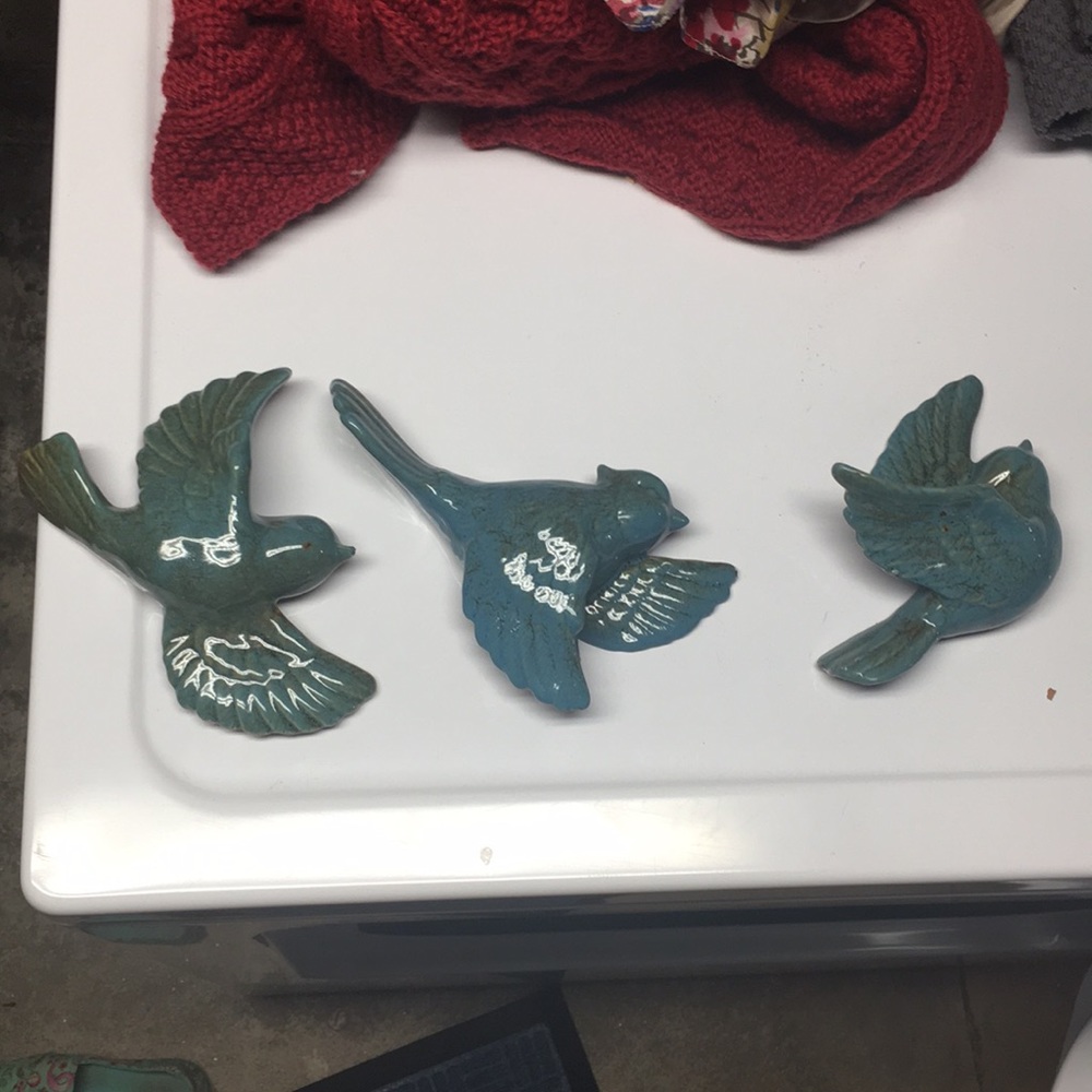 Blue birds